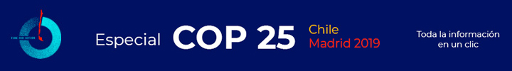 COP 25